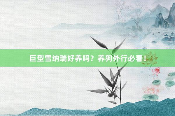 巨型雪纳瑞好养吗？养狗外行必看！